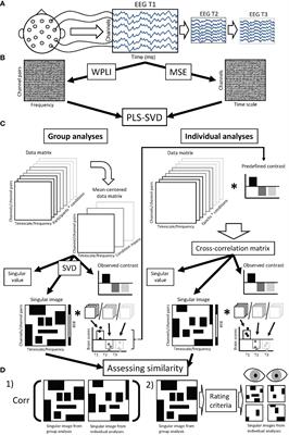 One size does not fit all: notable individual variation in brain activity correlates of antidepressant treatment response